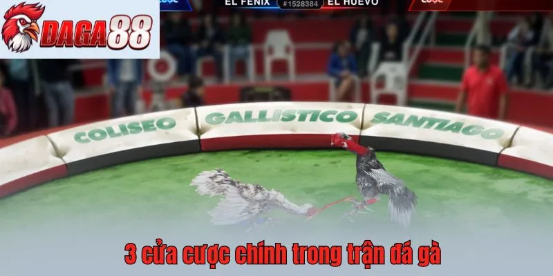 3 cửa cược chính trong trận đá gà